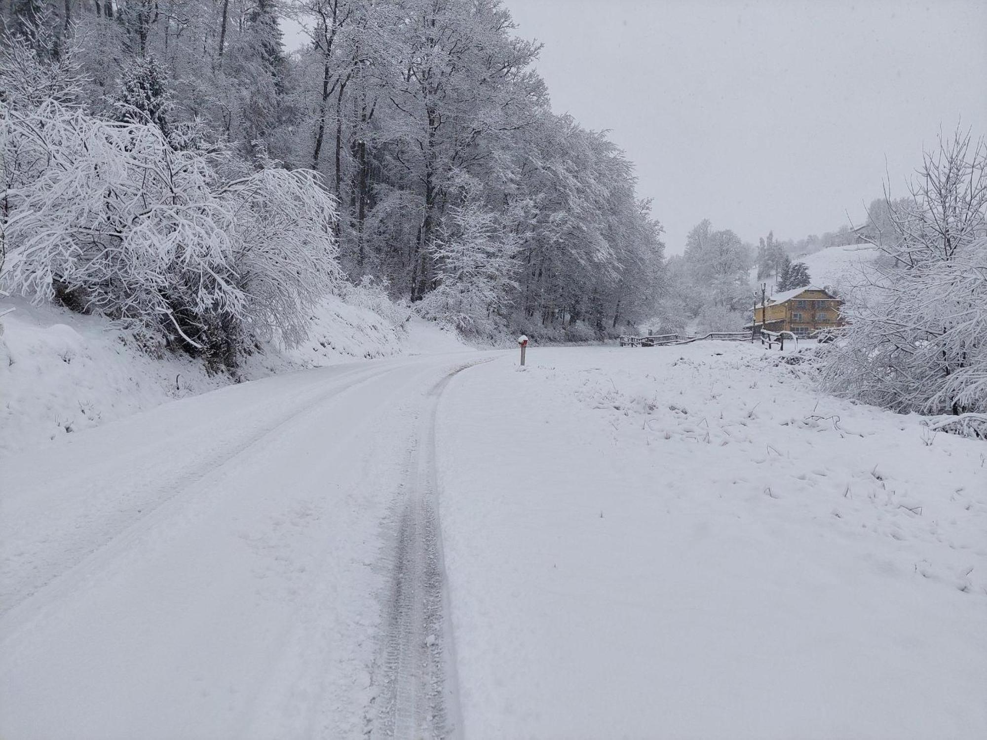 Zelena Oaza Bed & Breakfast Zgornja Kungota Eksteriør bilde