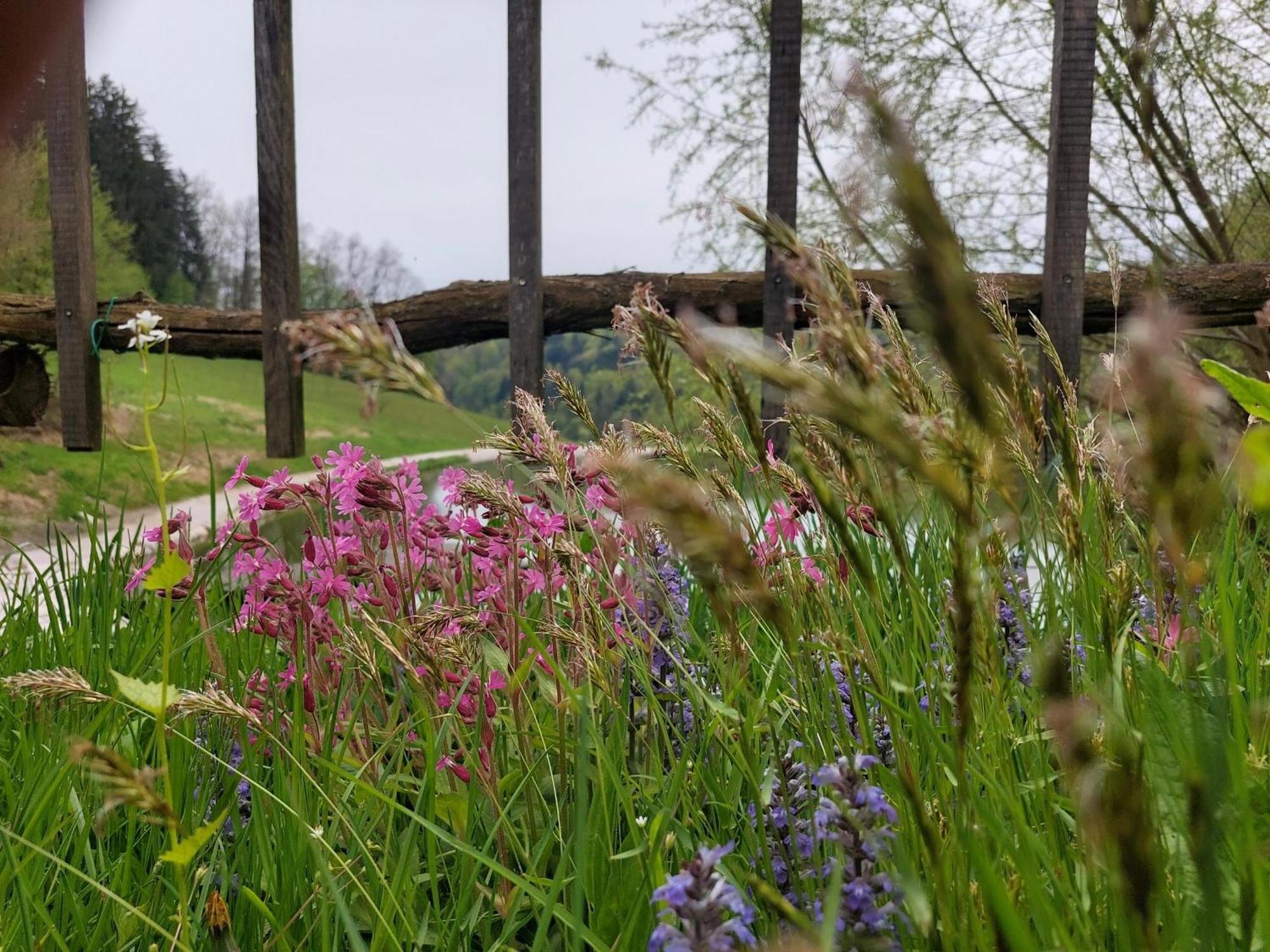 Zelena Oaza Bed & Breakfast Zgornja Kungota Eksteriør bilde