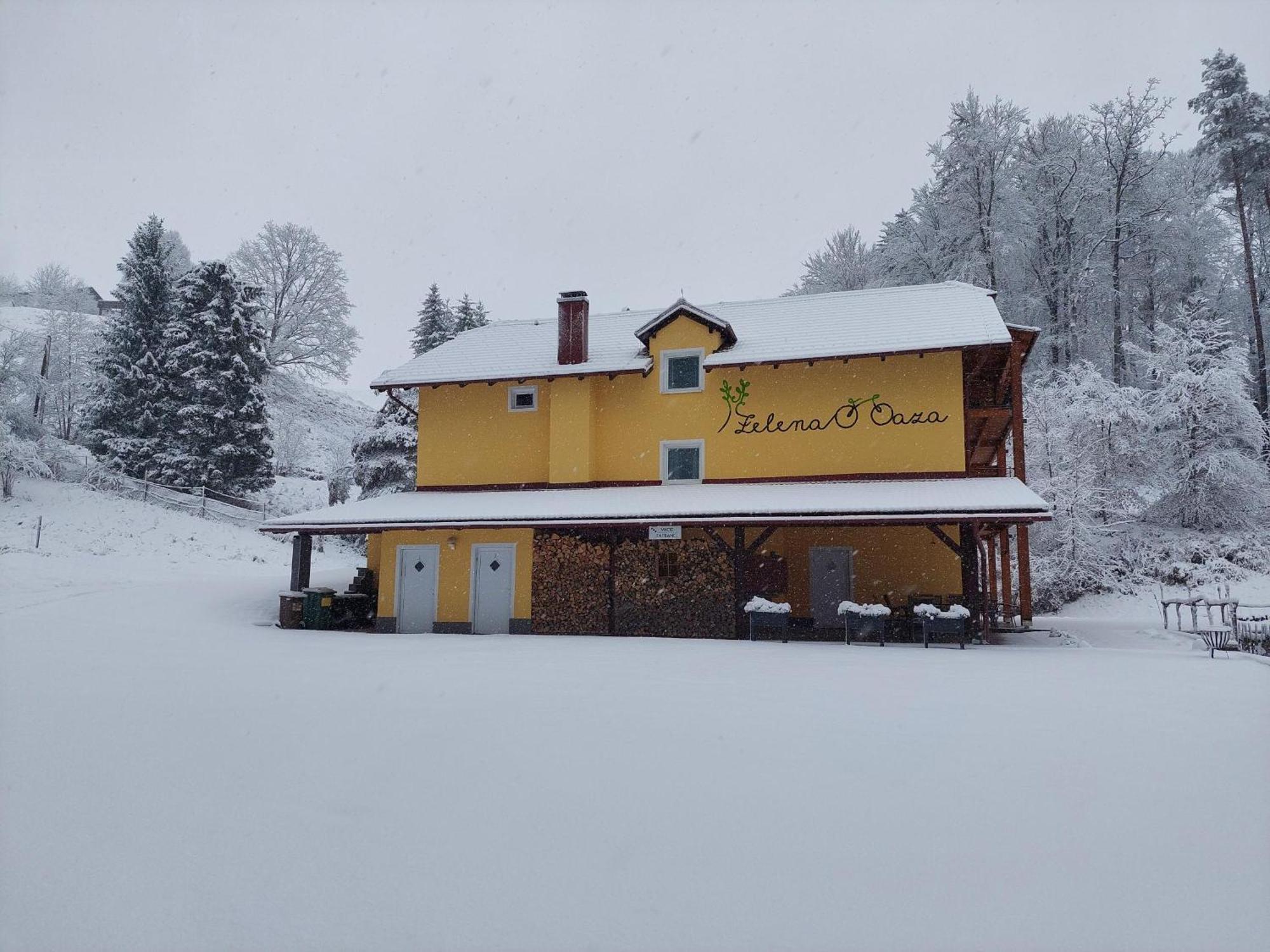 Zelena Oaza Bed & Breakfast Zgornja Kungota Eksteriør bilde